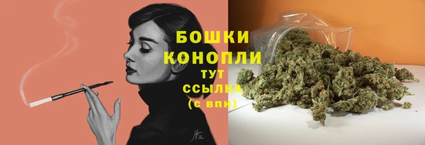 эйфоретик Баксан