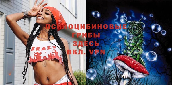 эйфоретик Баксан