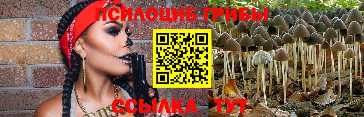 Галлюциногенные грибы мухоморы Краснокаменск
